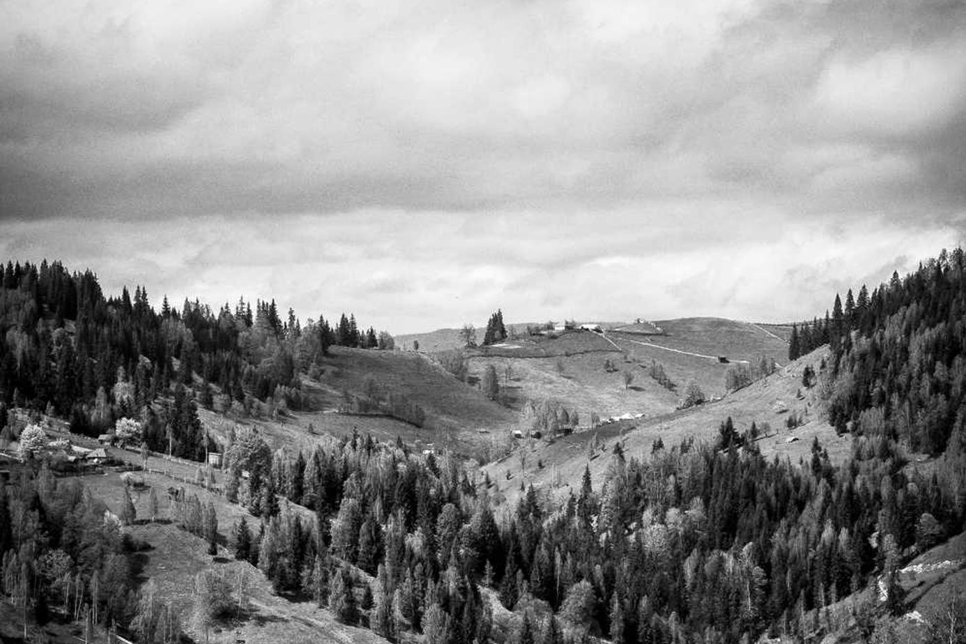 Molestias rerum ut quia nobis esse quam aut veritatis ut voluptatum